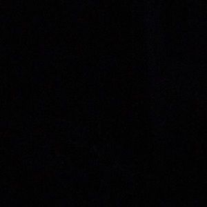 Meet your Posher, Rose